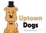Uptown Dogs Southampton